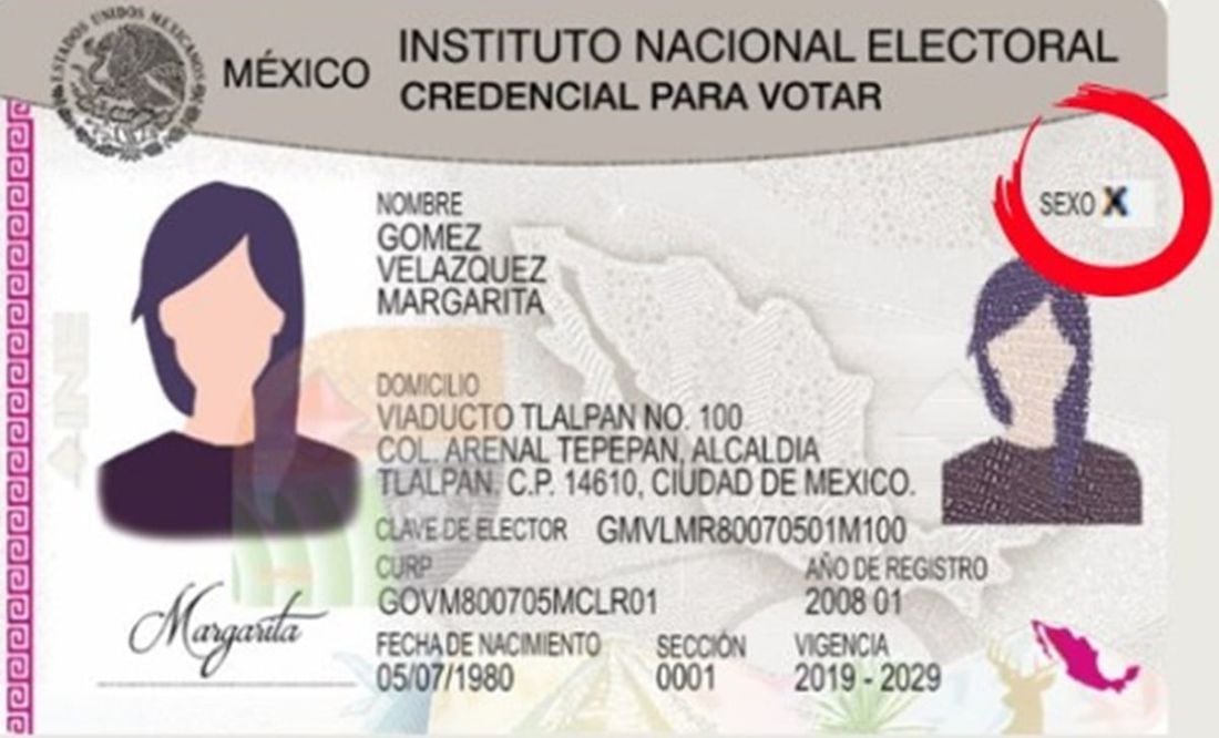 Personas No Binarias Podrían Votar Con La Letra X En La Credencial De Elector Del Ine 5349