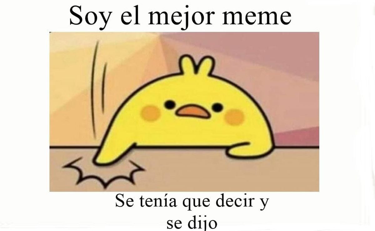 Los mejores memes de 