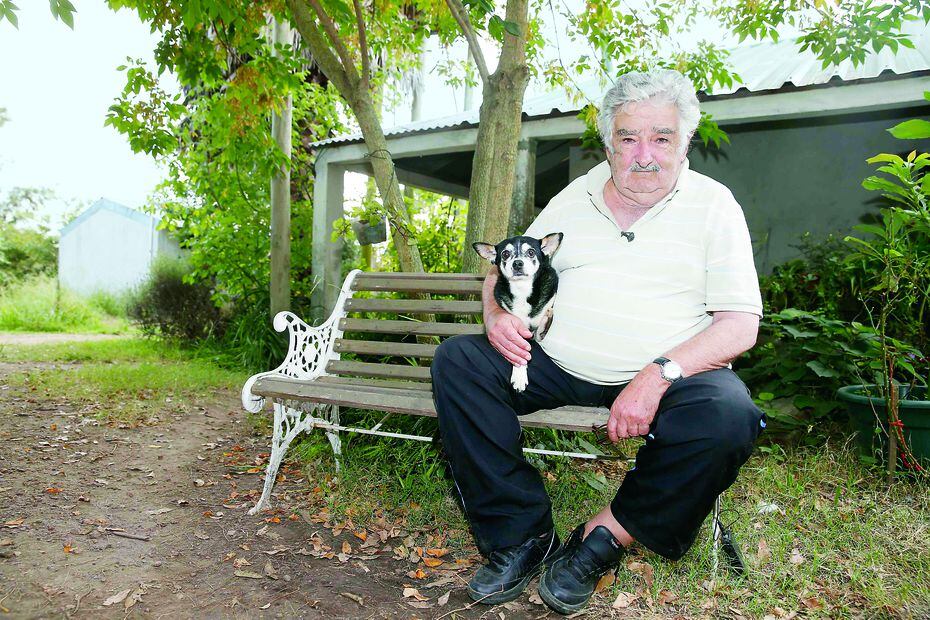 José Mujica, ex presidente de Uruguay, con su perrita Manu ela , en su granja a las afueras de Montevideo, el 25 de febrero de hace un año (ARCHIVO REUTERS)