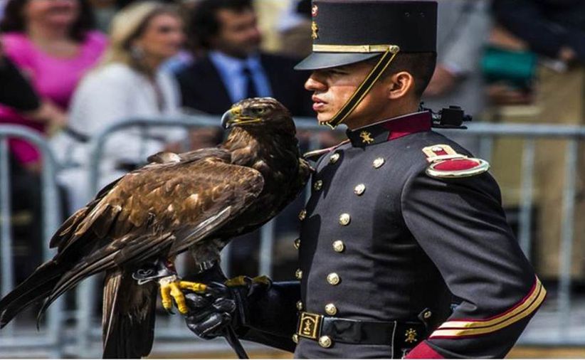 Desfilan “Águilas” mexicanas en Francia | El Universal