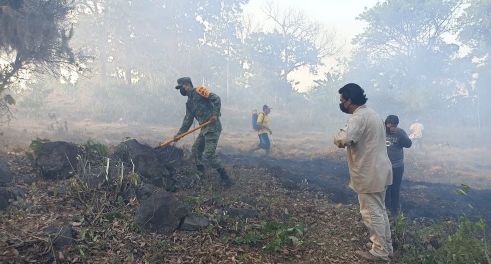 Suman 20 incendios forestales activos en Veracruz; protestan para exigir su combate – El Universal