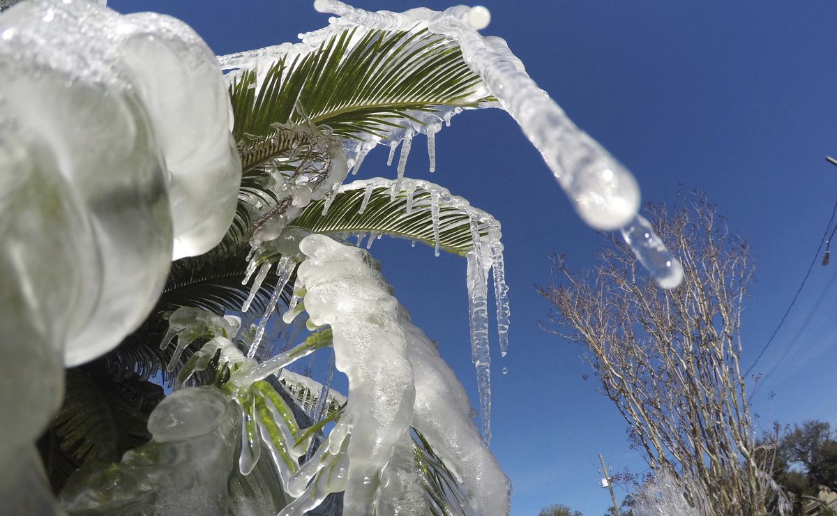 Nieve en Florida, frío récord en el Sur y la tormenta avanza