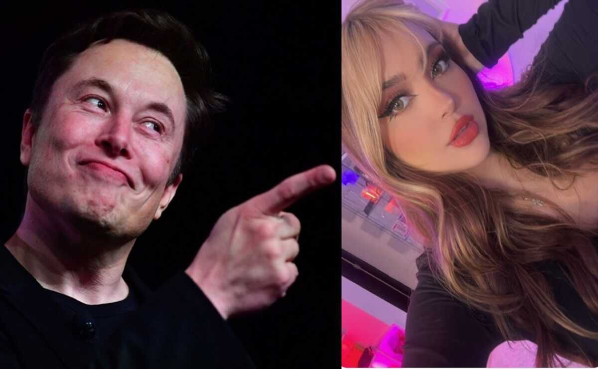 Quién es Ari Gameplays? La streamer mexicana a quien Elon Musk contactó en  Twitter - El Sol de México
