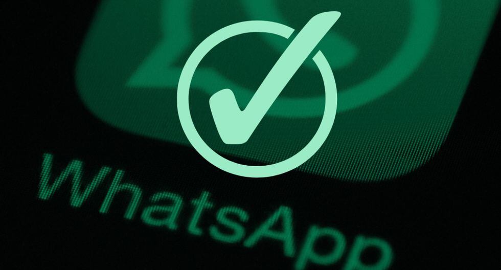Whatsapp Cómo Descargar Estados De Tus Contactos Sin Que Se Den Cuenta 6173