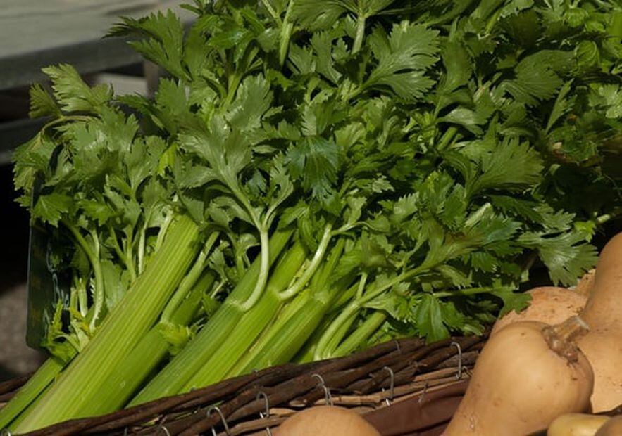 Cuáles Son Las Mejores Verduras De Hoja Verde 6866