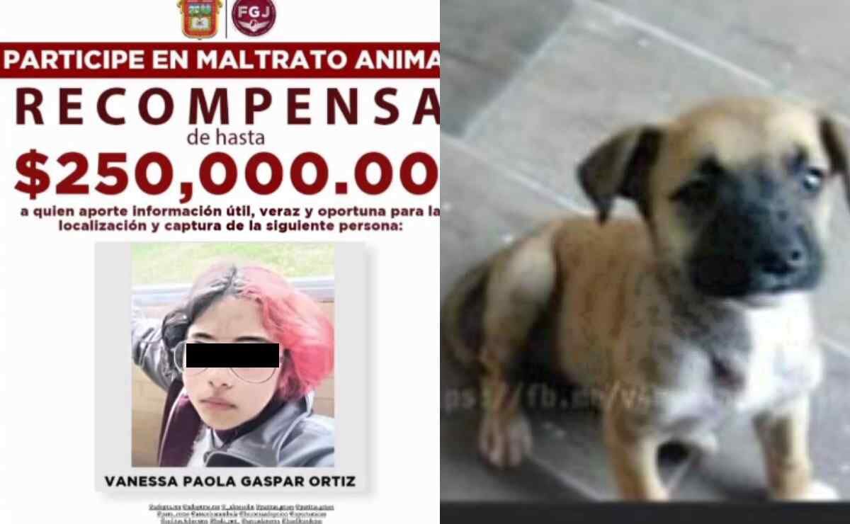 Fake news: Fiscalía de Edomex desmiente recompensa de 250 mil pesos por  Vanessa, asesina de 