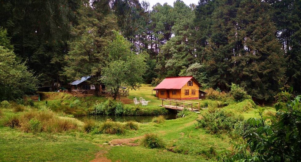 Peña de Lobos, el bosque embrujado a una hora de CDMX