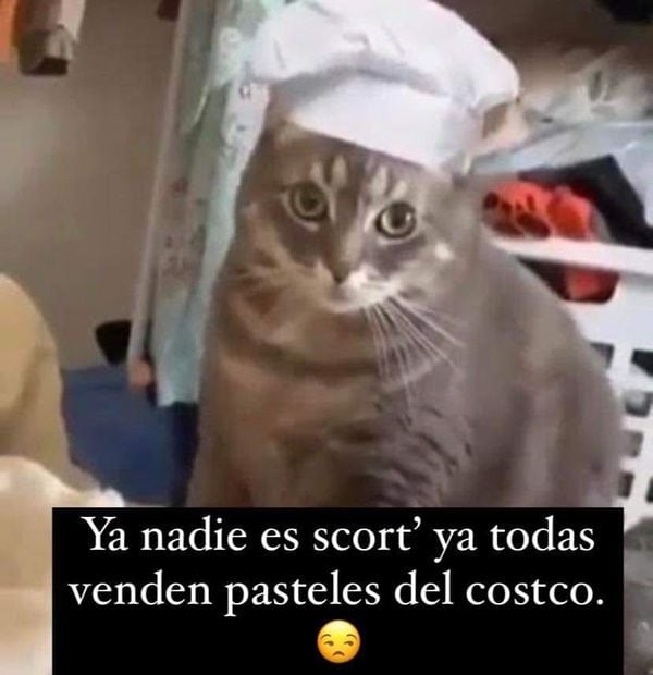 Reventa de pasteles de Costco genera memes