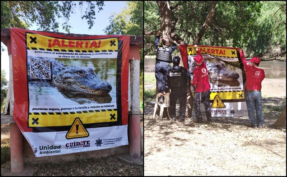 Las mantas con la imagen de los reptiles fueron ubicadas por elementos de la Policía y Protección Civil en las zonas conocidas como Acapulquito, la Brecha, Tamazula y la Uva. Foto: Especial