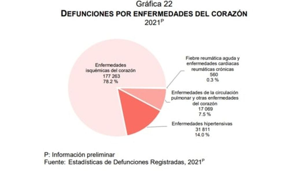 Las 8 gráficas del Inegi que muestran las principales causas de muerte