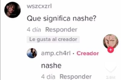 Nashe / Que significa Nashe?