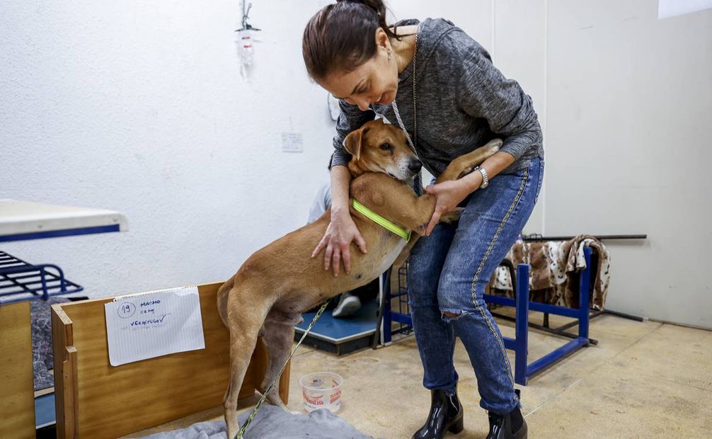 Una mujer abraza a un perro rescatado de las inundaciones, el 11 de mayo de 2024, en un refugio en Porto Alegre. Foto: EFE