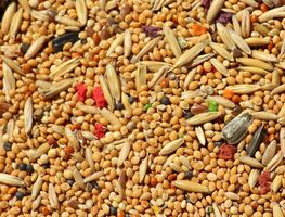 Profeco y Cofepris 'ponen alto' a Kellogg's: Inmovilizan miles de cereales  – El Financiero