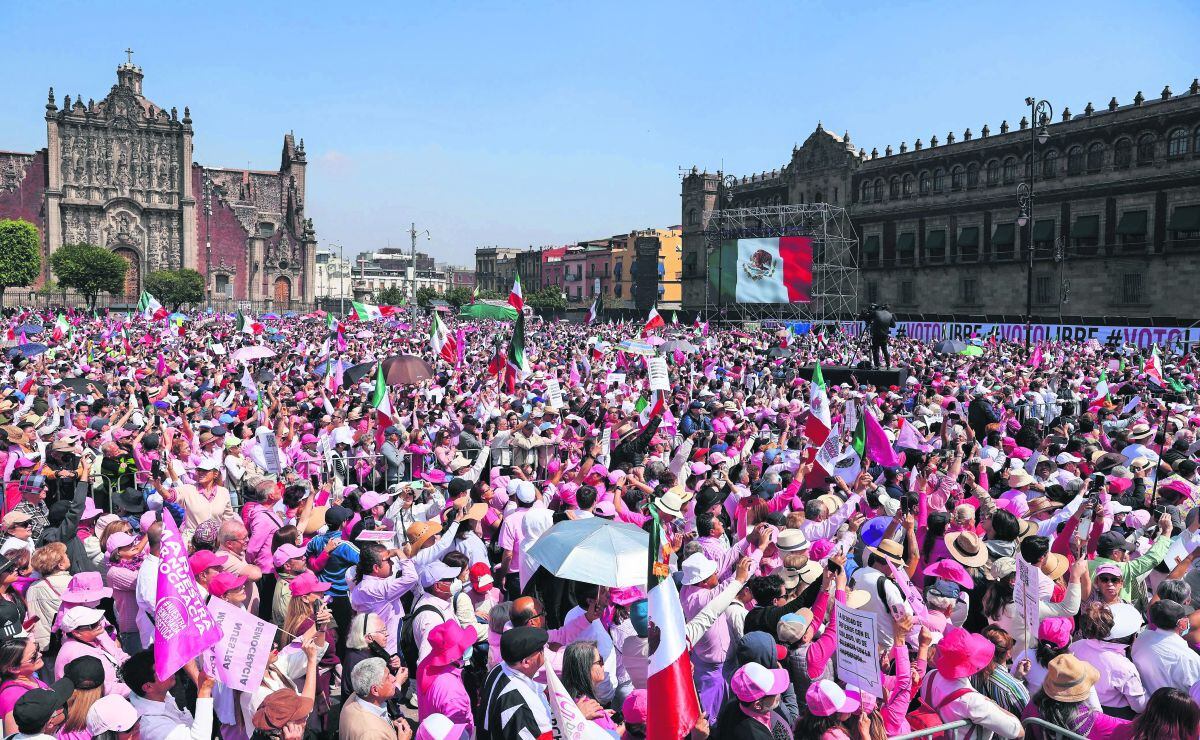 Marea Rosa convoca a organizaciones civiles a crear red democrática para  promover el voto