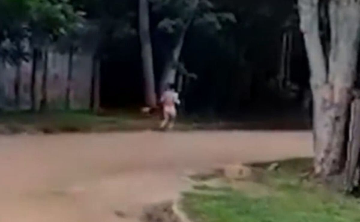 Argentina. Captan en video a mujer corriendo por la calle desnuda tras  consumir hongos alucinógenos