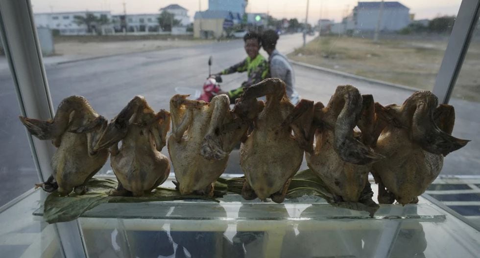 9-year-old Cambodian boy dies after testing positive for bird flu virus