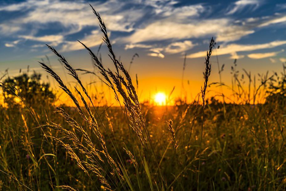 Al solsticio de verano se le considera el día "más largo" del año. Foto: Pixabay
