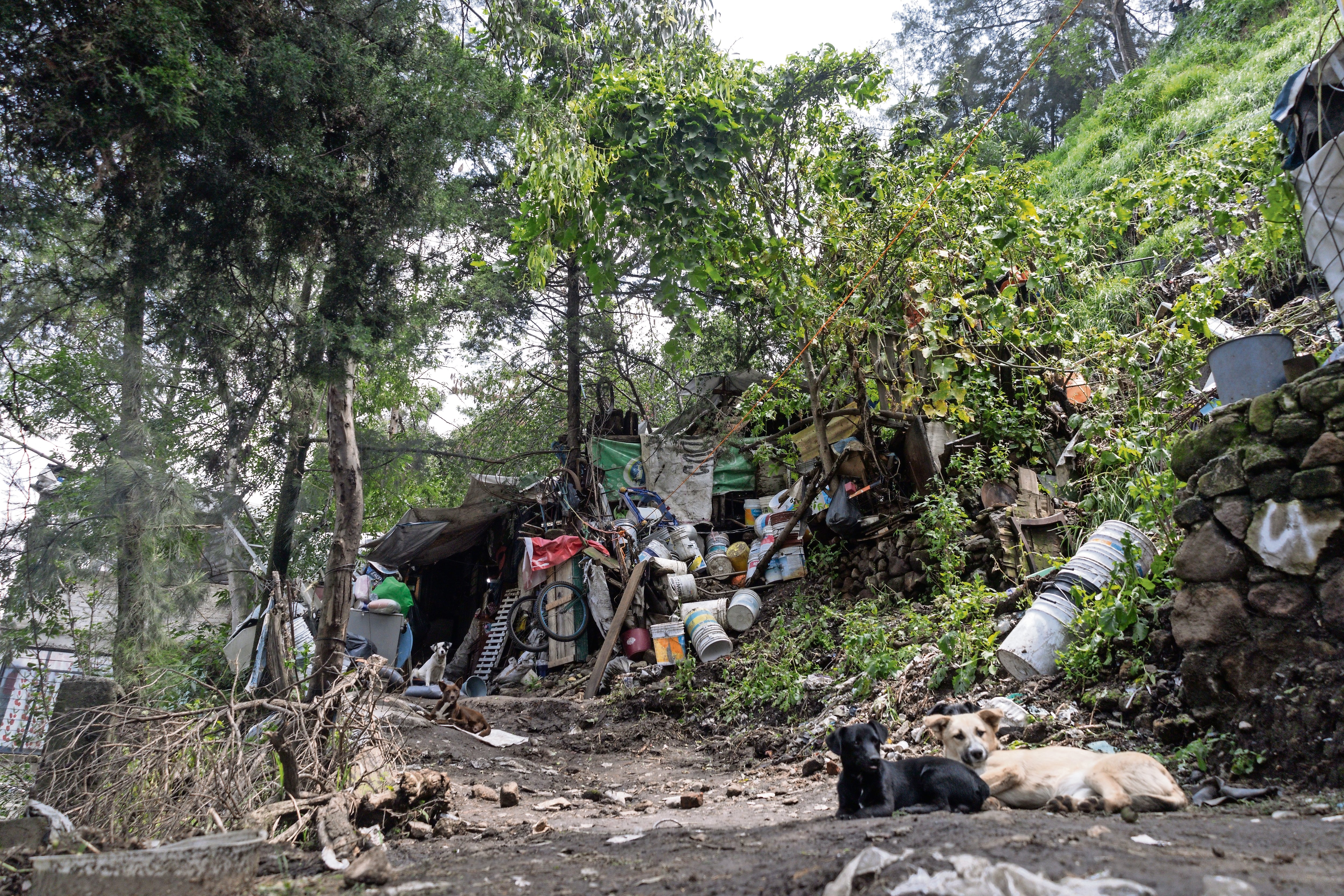 Sixteen dead from landslides in Jilotzingo and Naucalpan, they report