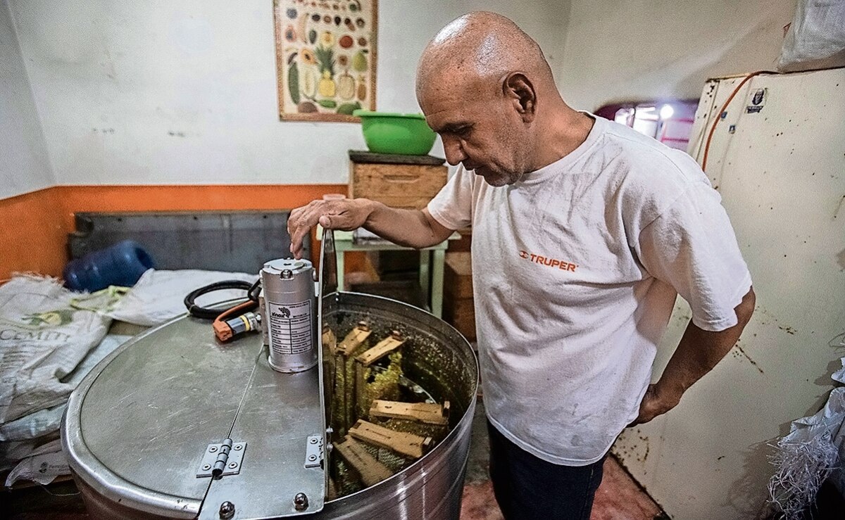 Con esmero y mucha dedicación, don Enrique trabaja en su apiario desde hace 20 años. Foto: Gabriel Pano EL UNIVERSAL