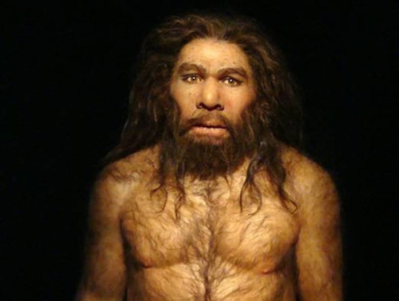 El impacto de la antisocialidad en la extinción de los Neandertales. Fuente: Freepik.