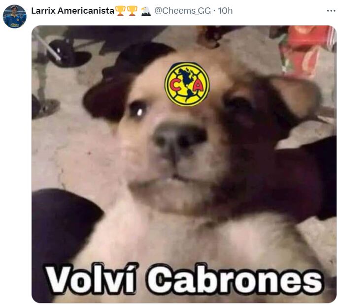 The best memes from victoria of america before santos