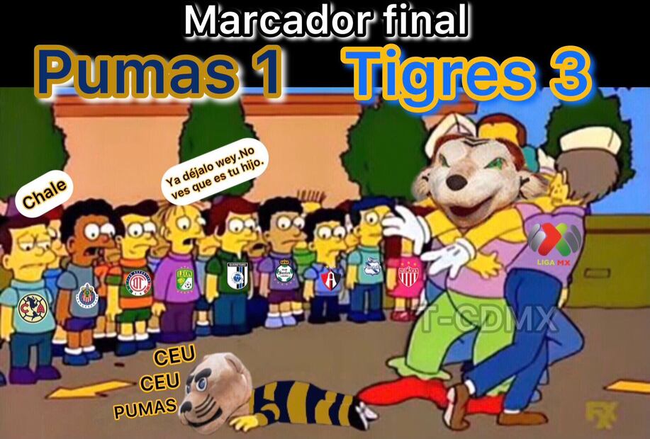 Memes Pumas