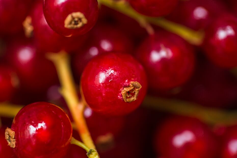 Acerola y salud. Fuente: Freepik