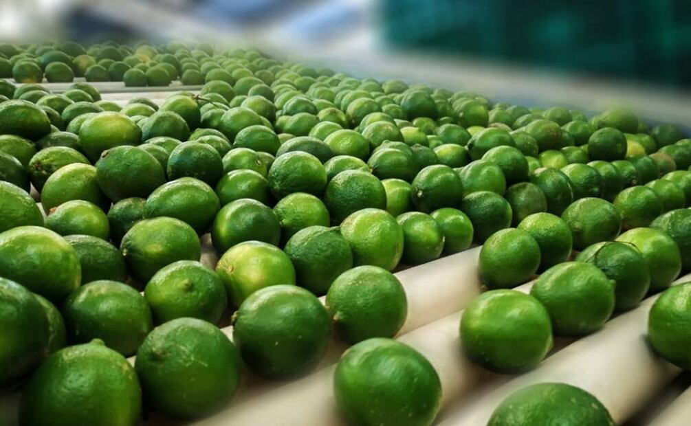 El limón es un repelente natural para terminar con las cucarachas. Foto: Cortesía