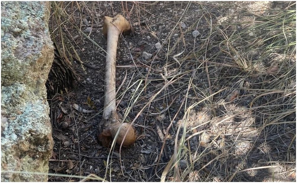 Hallan otro crematorio clandestino en Nogales, Sonora (9/11/2024). Foto: Madres Buscadoras de Sonora