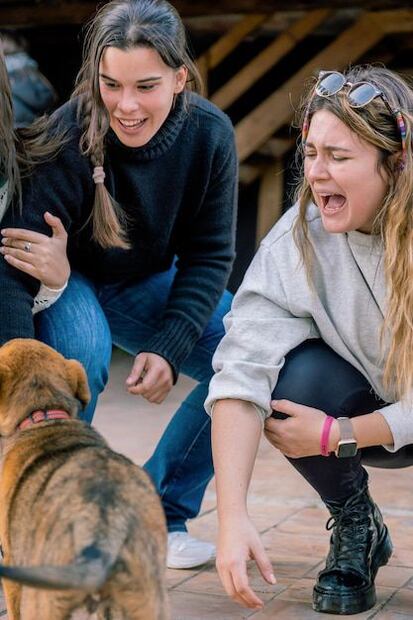 El avance en la comunicación interespecie también tiene implicaciones en la conservación y el bienestar animal. Fuente: Freepik.