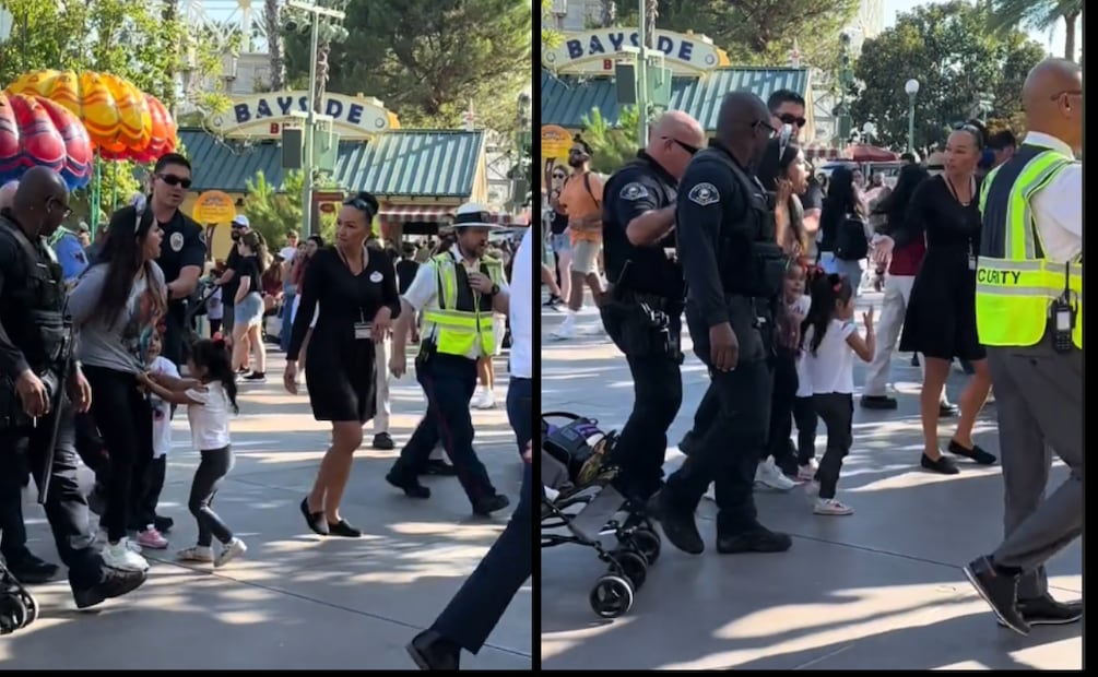 El video que muestra a la madre siendo arrestada en Disneyland ha generado un fuerte debate entre los internautas. Foto: Captura de pantalla en TikTok