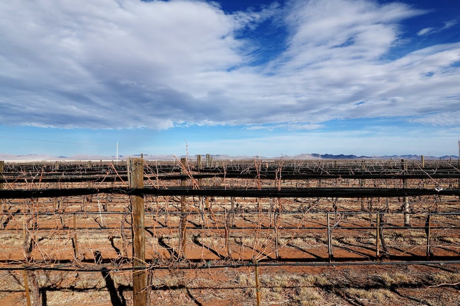 Vinícola Hacienda Encinillas