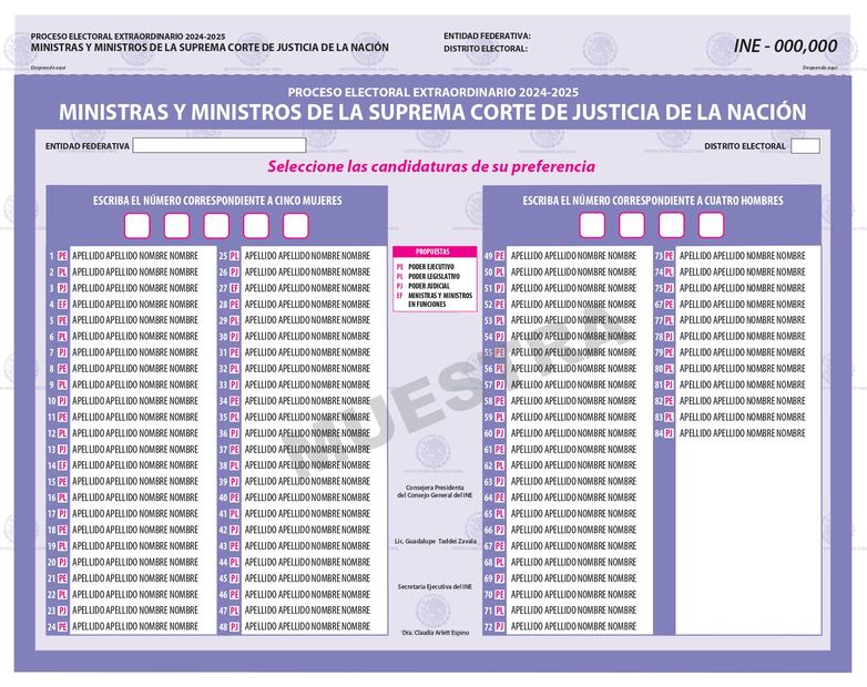 De un universo de 84 opciones, los electores definirán por quien votar para ministro de la SCJN. Foto: Especial