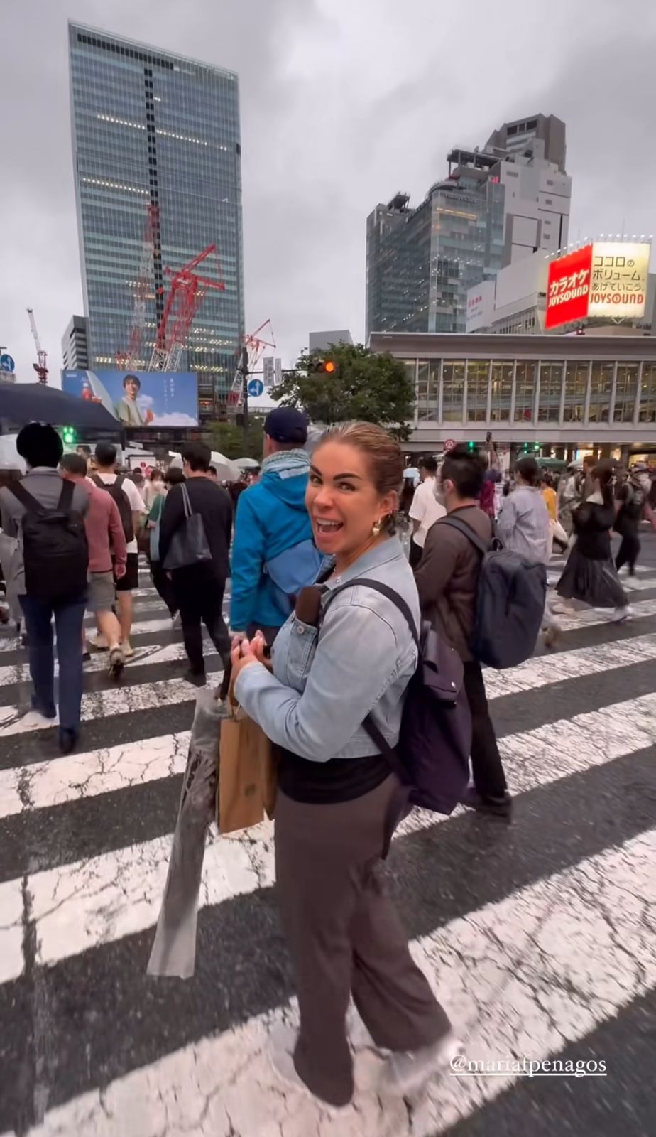 El viaje a Japón de Rocío Sánchez Azuara. Foto: Instagram @rocio_sazuara