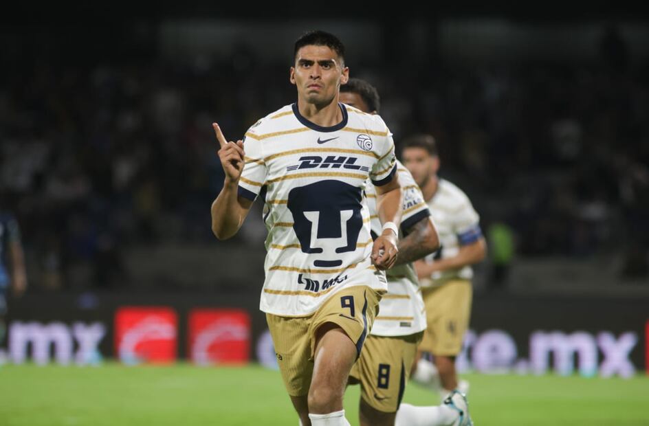 Pumas - Figure 2