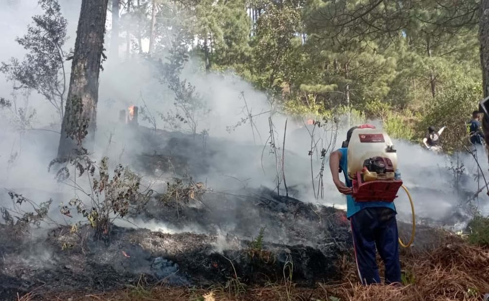 Elementos se seguridad extinguieron el fuego (22/12/2024). Foto: X @PCJalisco