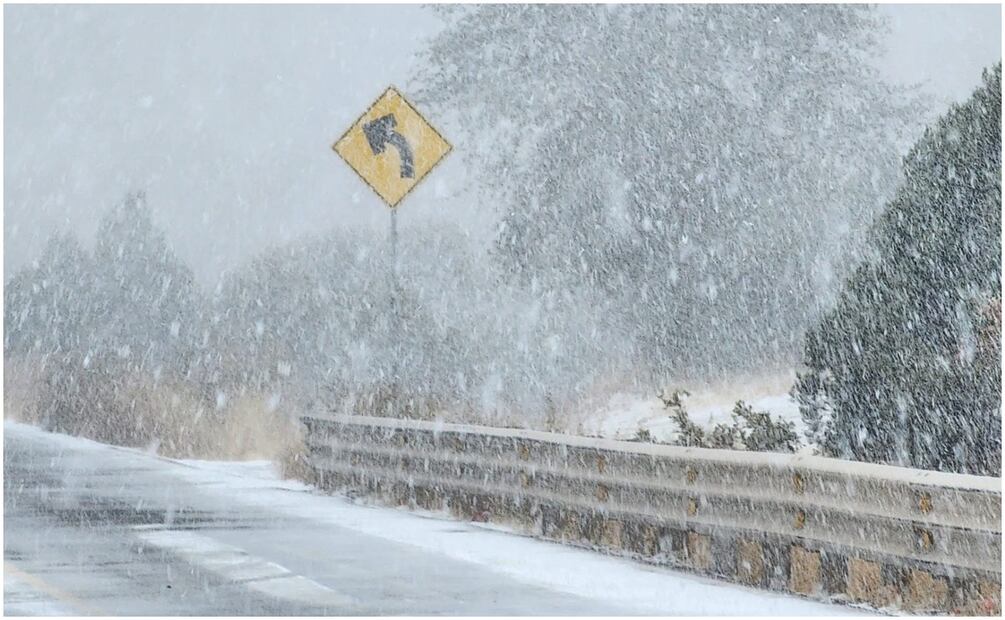 Segunda tormenta invernal en Sonora deja blancos paisajes (8/01/2025). Foto: Especial