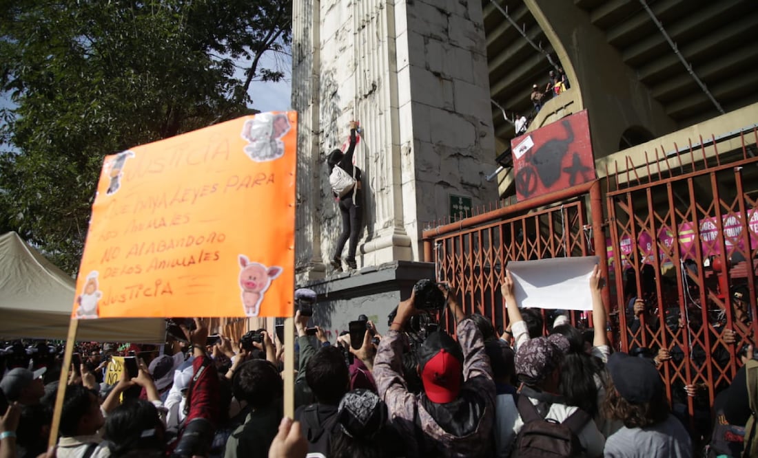 Plaza de Toros: protestan contra corridas en CDMX; “el matar toros no es ni  cultura ni tradición”, dicen