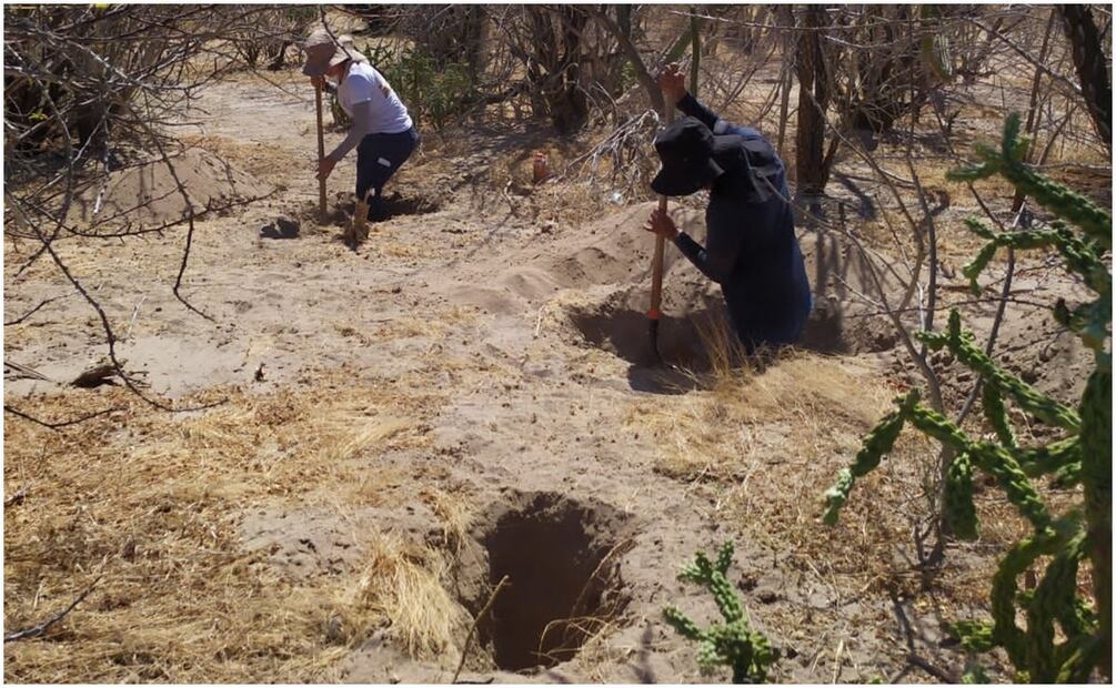 Colectivo de búsqueda halla 4 fosas clandestinas en BCS este 2 de octubre de 2024. Foto: Especial