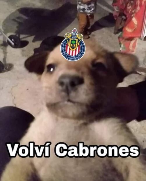 Memes Chivas