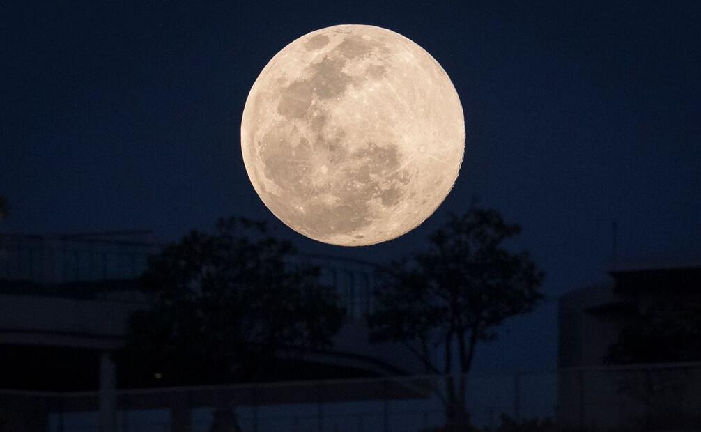 La "Luna de lobos" se caracteriza por ser Luna llena con una tonalidad naranja. Foto: AFP