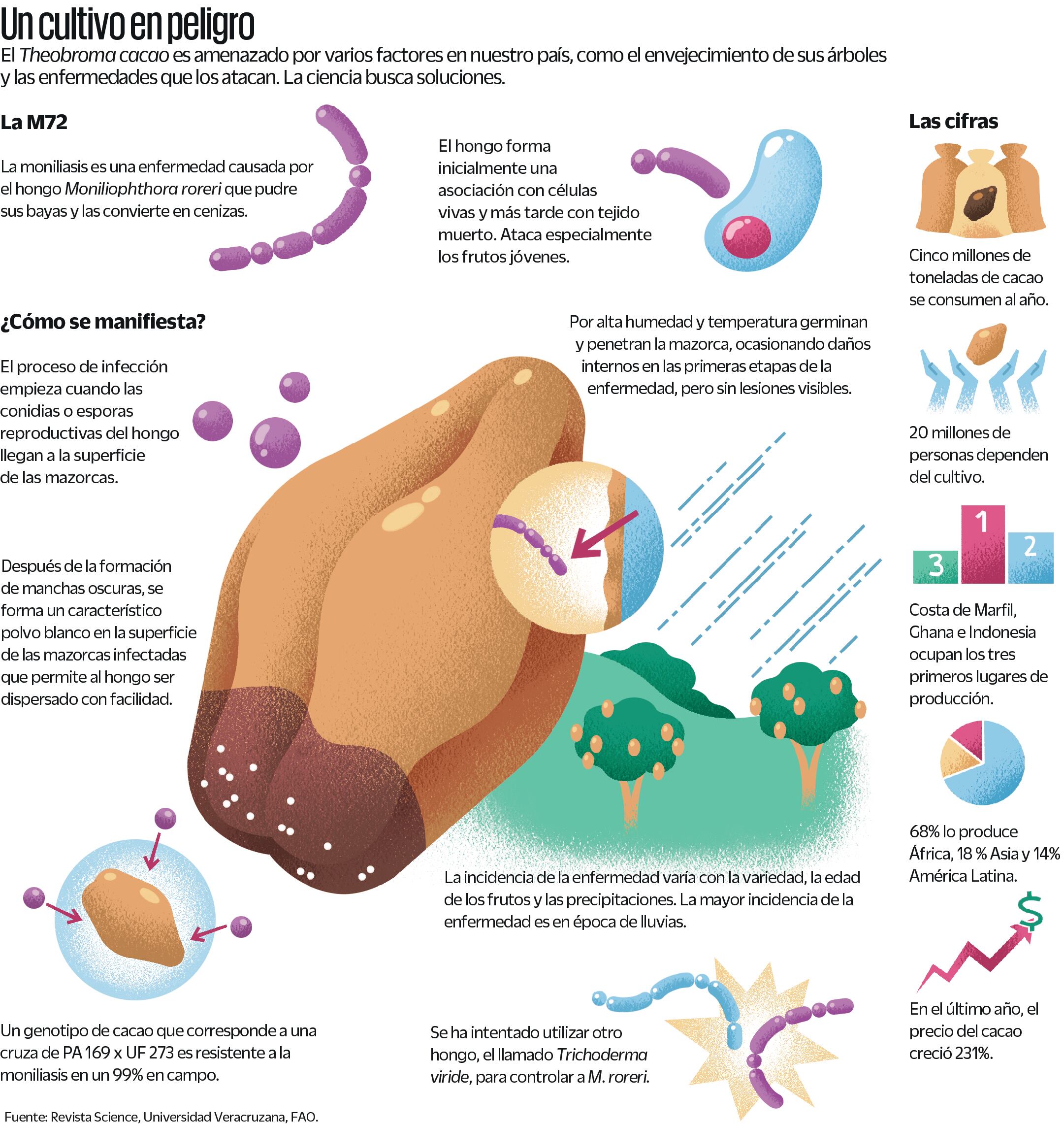 Fuente: Revista Science, Universidad Veracruzana, FAO.