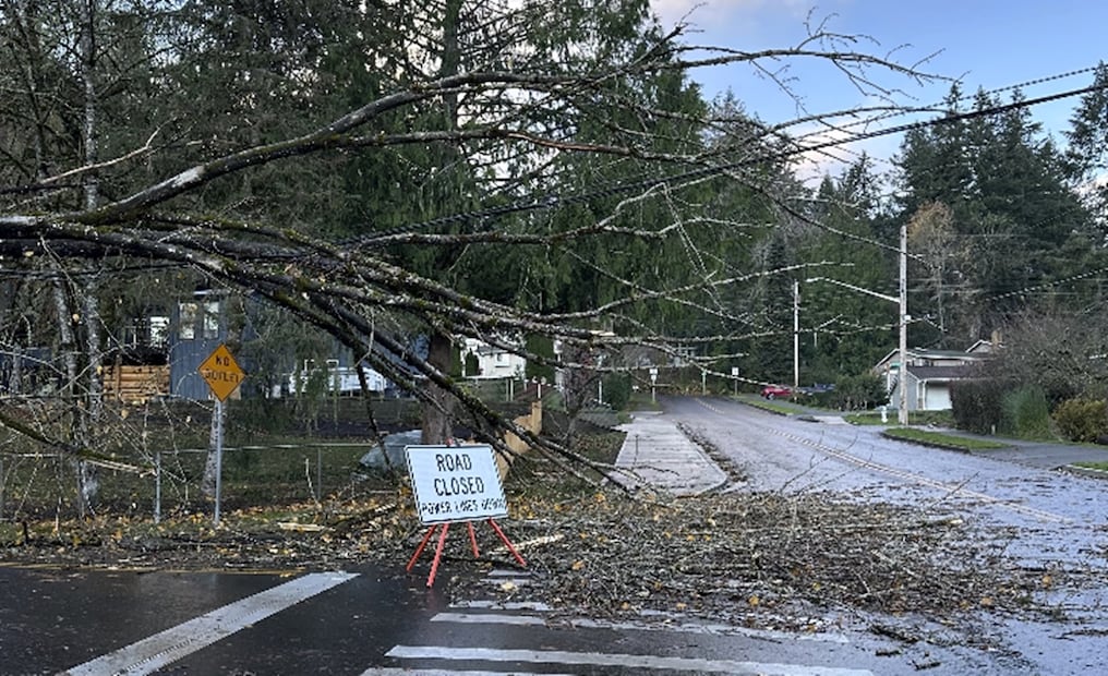 Los fuertes vientos convirtieron a paisajes cotidianos en escenas caóticas de árboles caídos, carreteras bloqueadas y casas dañadas. Foto: AP