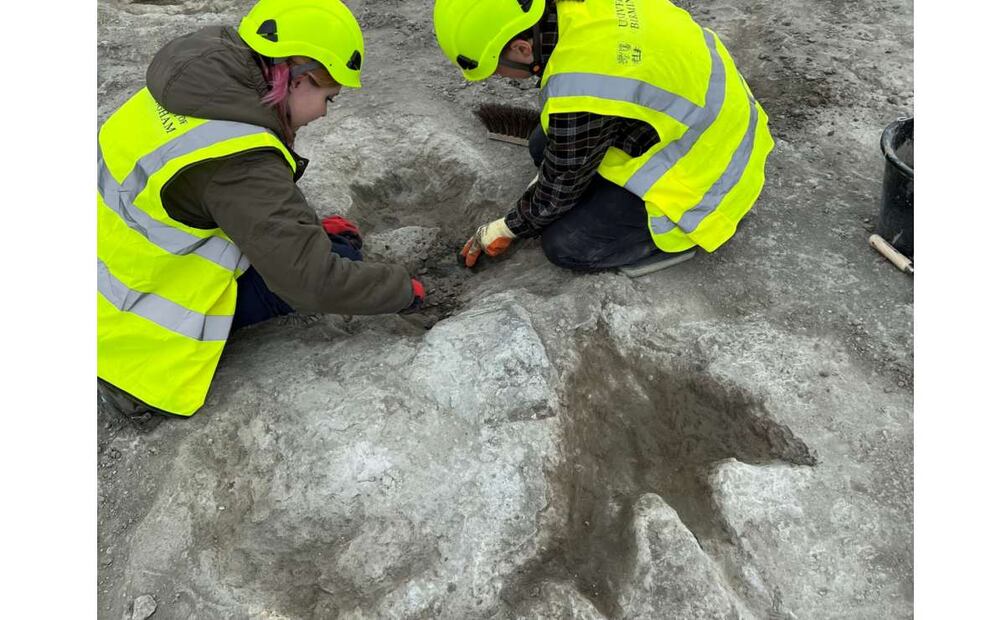 Foto sin fecha, proporcionada por el Museo de Historia Natural de la Universidad de Oxford y la Universidad de Birmingham el jueves 2 de enero de 2025, se muestran los trabajos que se realizan tras el descubrimiento de cinco grandes vías que formaban parte de una “autopista de dinosaurios”, en la cantera de Dewars Farm en Oxfordshire, Inglaterra. Foto: AP