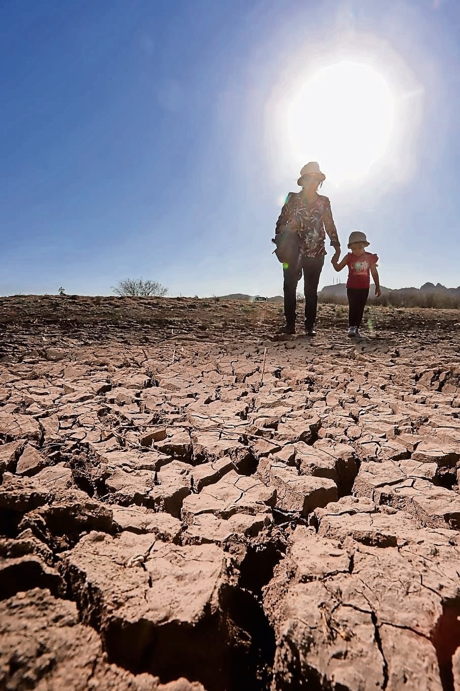 Suman ya más de dos décadas en las que el calor no le ha dado tregua al estado; los sonorenses lo reconocen en su estado de salud o en la vegetación que no resiste los rayos del sol Foto: Amalia Escpnat EL UNIVERSAL