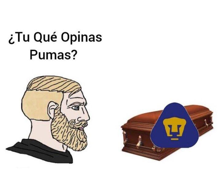 Memes Pumas