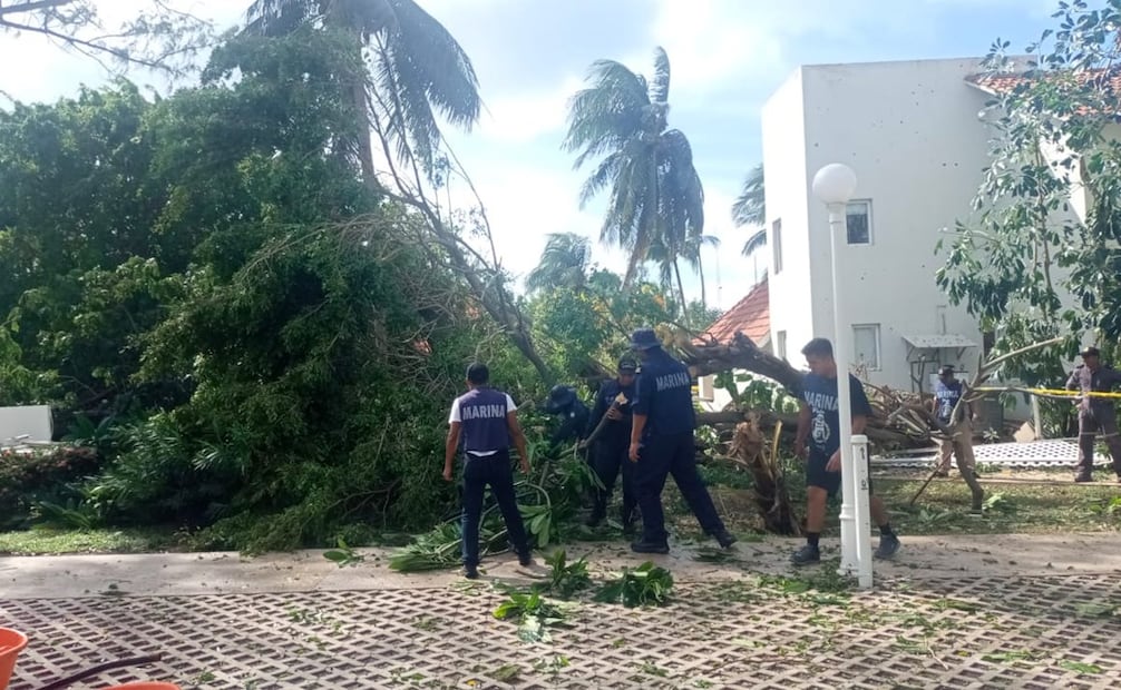 Los navales brindan apoyo en la limpieza de calles, remoción de escombros y árboles caídos. Foto: Marina