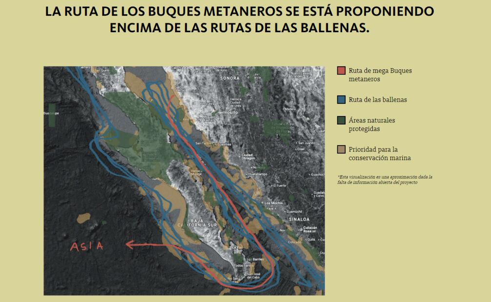 Treinta organizaciones ambientales lanzaron la campaña "¿Ballenas o Gas?" con el objetivo de detener el megaproyecto gasífero de Mexico Pacific Holdings en el Golfo de California. Foto: Captura de pantalla de "¿Ballenas o gas?"