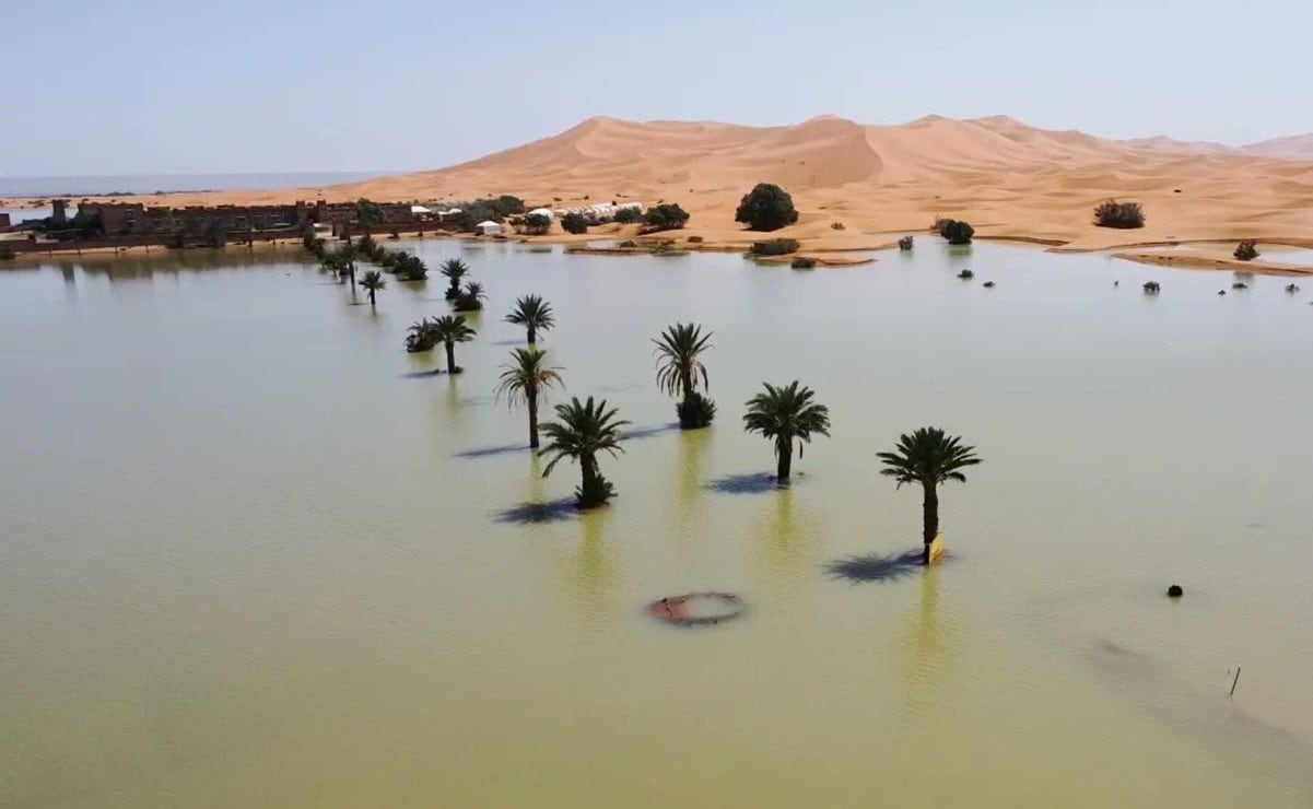 The Sahara Desert is underwater; Atypical rainfall generates floods for the first time in 50 years