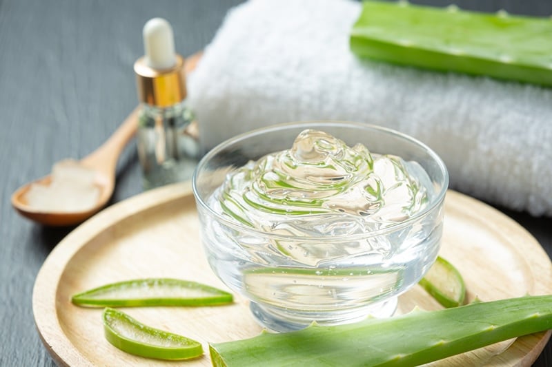 Esto pasa si aplicas aloe vera en tu cara todos los días; descubre sus beneficios